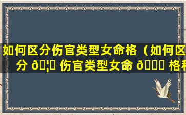 如何区分伤官类型女命格（如何区分 🦁 伤官类型女命 💐 格和男命格）